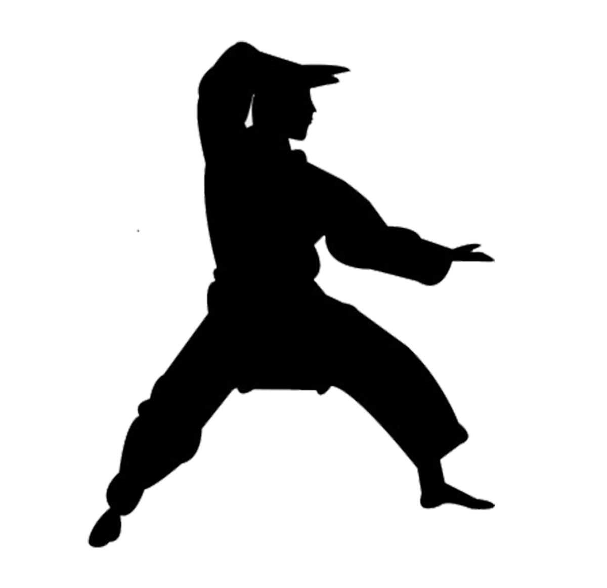 Pencak Silat SMA N 2 Slawi