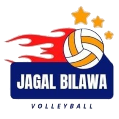 Logo-Voli1